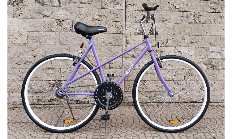 Vintage Rod. 24 Dama