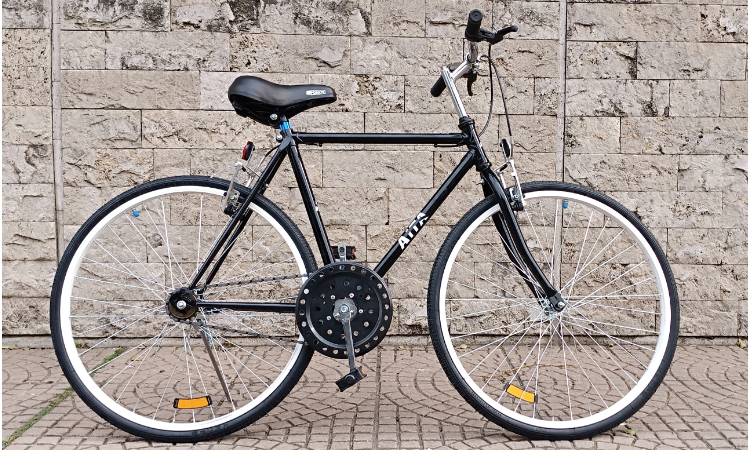 Vintage Rod. 24 Varón