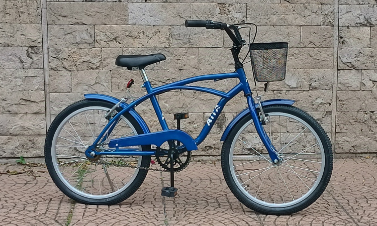 ROD. 20 varon
